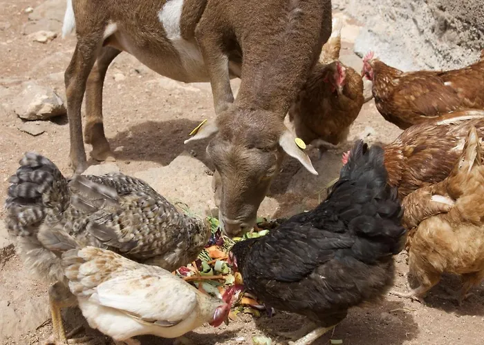 Sabina בית נופש Agüimes